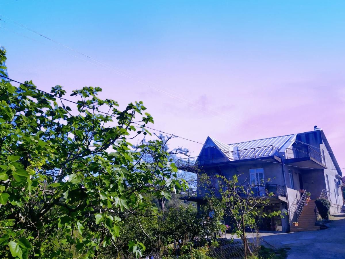 53 Jincharadze Street Makhinjauri, Batumi Villa Luaran gambar